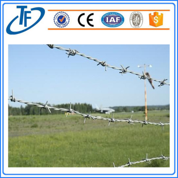 High Quality Security 9 Gauge Barbed Wire